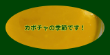 高級ホテル並みのカボチャスープ.png